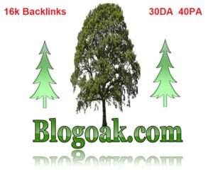 blogaok.com logo image