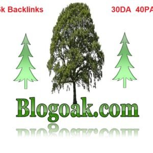 blogaok.com logo image