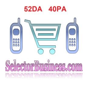 selectorbusiness.com logo image