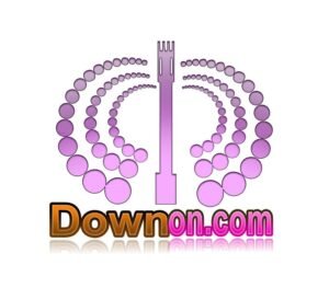 downon.com logo image