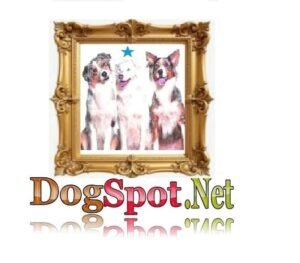 Domain dogspot.net main image Dog spot pic