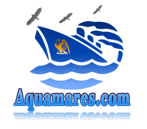 domain name Aquamares.com logo image
