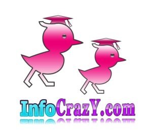 premium domain name infocrazy.com logo pic