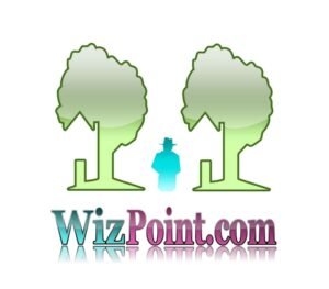 domain name wizpoint.com logo