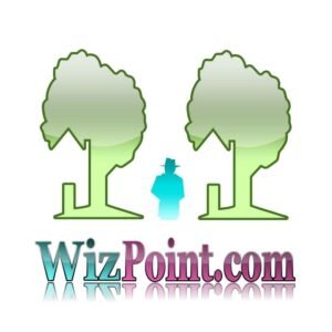 domain name wizpoint.com logo