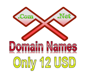 12 usd domains image