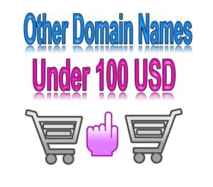 domain name 100 usd