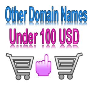 domain name 100 usd