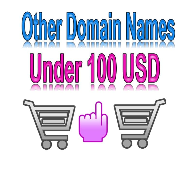 domain name 100 usd