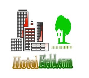 Premium Domain Name HotelField.com