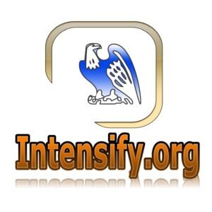 premium domain name intensify.org logo